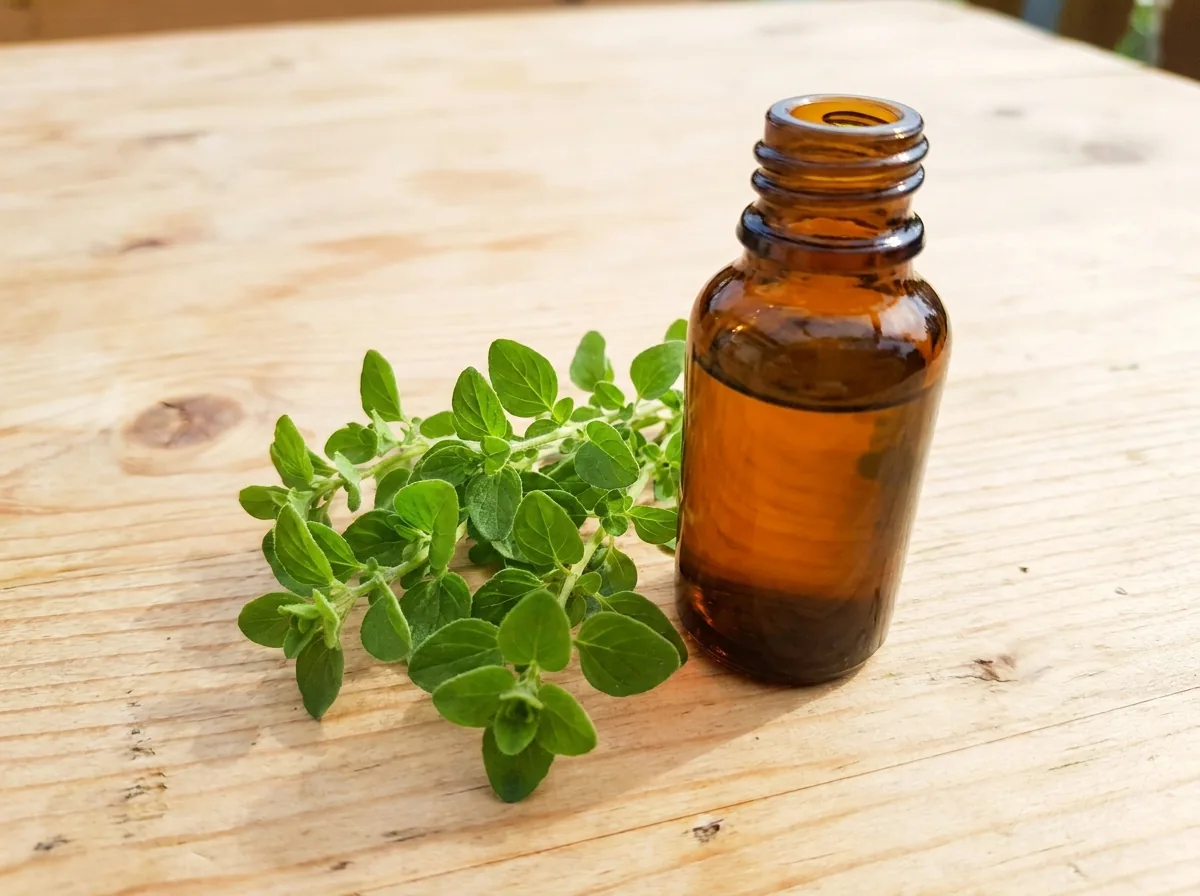 Small amber dropper bottle of oregano oil beside fresh oregano sprigs
