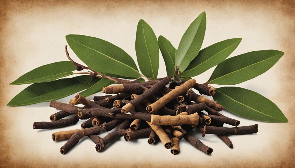 Clove Oil