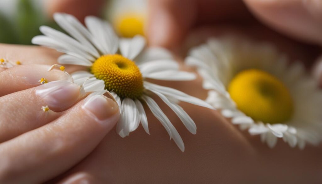 chamomile oil for wound healing