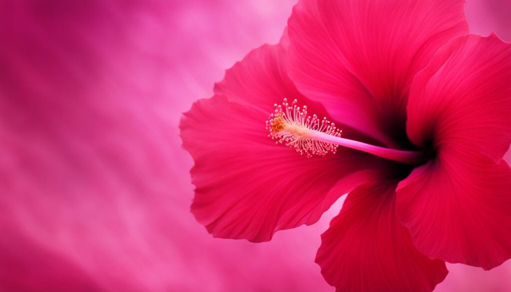 hibiscus powder for blood pressure