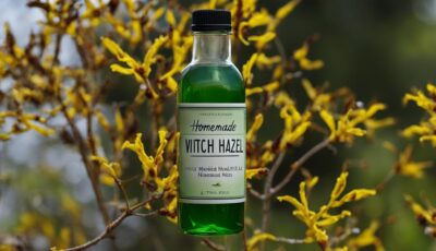 How to Make Witch Hazel