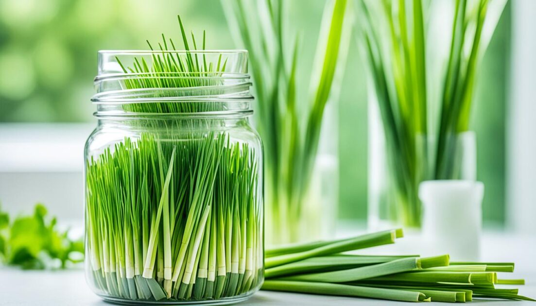 Lemongrass Oil for weight loss