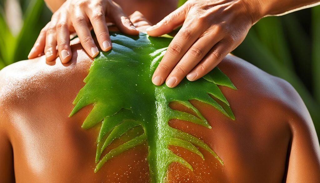 aloe vera for sunburn aloe vera for sunburn